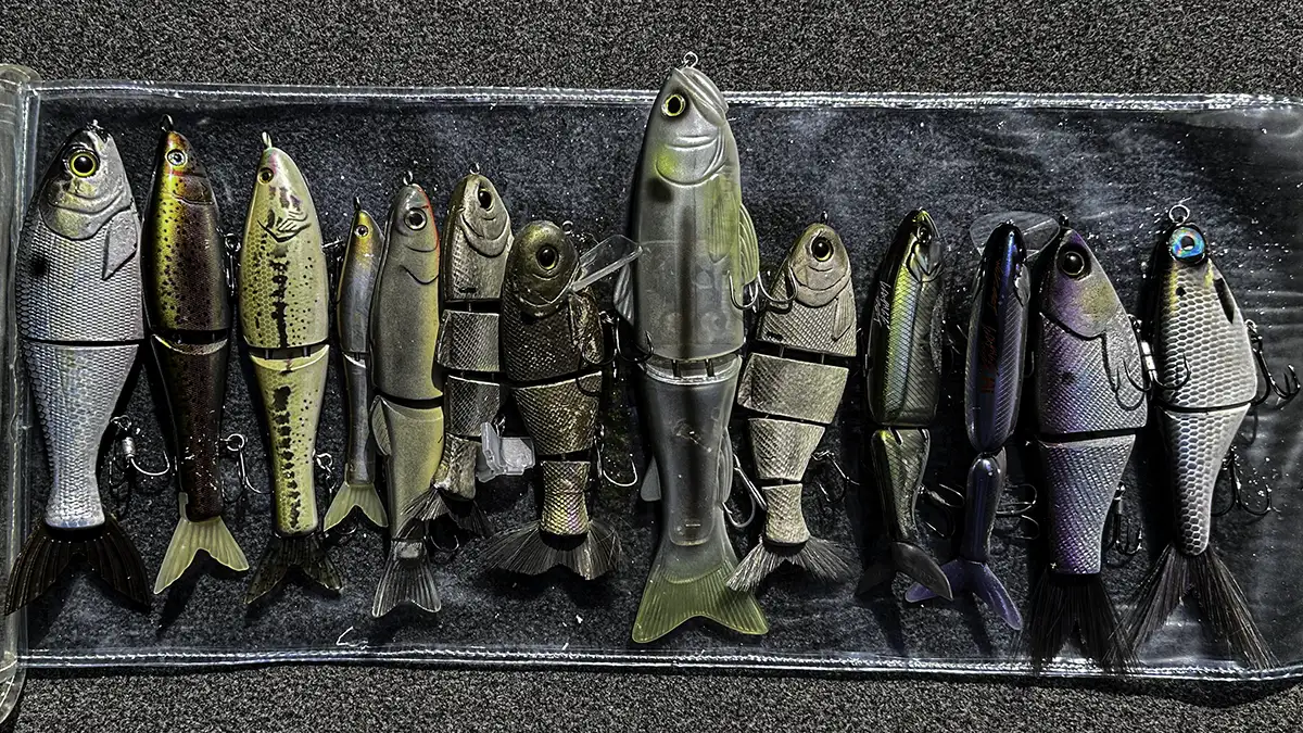 How to Choose the Correct Glide Bait for South African Bass Waters